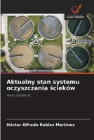 Aktualny stan systemu oczyszczania scieków (Polish Edition) 6209407730 Book Cover