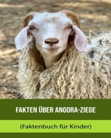 Feiten over Angora geit (Feitenboek voor kinderen) B0BXMV7G6N Book Cover