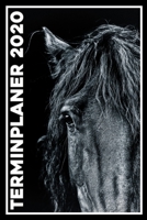 Terminplaner 2020: Jahresplaner von September 2019 bis Dezember 2020 mit Pferd - Planer mit 174 Seiten in wei� im Format A5 mit gl�nzendem Soft Cover. 1704011981 Book Cover