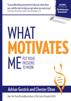 What Motivates Me: Put Your Passions to Work 0996029702 Book Cover
