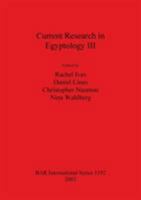Current Research in Egyptology 2002 1841715581 Book Cover