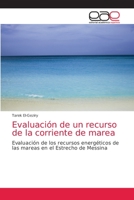 Evaluación de un recurso de la corriente de marea: Evaluación de los recursos energéticos de las mareas en el Estrecho de Messina 6200353239 Book Cover