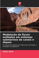 Modelação de fluxos múltiplos em sistemas submarinos de canais e diques (Portuguese Edition) 663029551X Book Cover