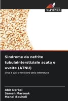 Sindrome da nefrite tubulointerstiziale acuta e uveite (ATNU) (Italian Edition) 6207909674 Book Cover