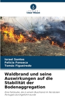 Waldbrand und seine Auswirkungen auf die Stabilität der Bodenaggregation: Eine Fallstudie, die in einem Buschland im Nordosten Portugals durchgeführt wurde (German Edition) B0CJT22MRY Book Cover