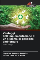 Vantaggi dell'implementazione di un sistema di gestione ambientale: O caso Amaggi (Italian Edition) B0CJHB7J2C Book Cover