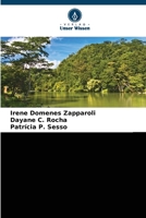 Einzugsgebiet des Paranapanema, Brasilien:: Wirtschaftliche Bewertung in der Wasserbilanz 6206265269 Book Cover