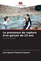 Le processus de rupture d'un gar�on de 23 ans 6204102672 Book Cover