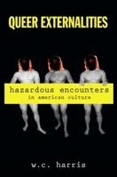 Queer Externalities: Hazardous Encounters in American Culture (SUNY series in Queer Politics and Cultures) 1438427522 Book Cover