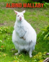 Albino Wallaby: Learn About Albino Wallaby and Enjoy Colorful Pictures B08M83X5C2 Book Cover