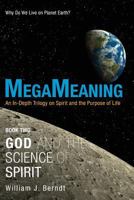 Megameaning: Book Two: God and the Science of Spirit 1625106564 Book Cover