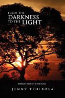 FROM THE DARKNESS TO THE LIGHT: 1450077250 Book Cover