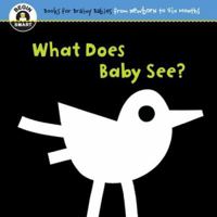 Begin Smart: What Does Baby See? (Begin Smart) 1934618853 Book Cover