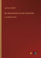 Der Oberamtmann Und Der Amtsrichter 1514169290 Book Cover