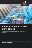 Fabbricazione di silicio nanoporoso (Italian Edition) 6206927393 Book Cover