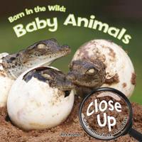 Born in the Wild: Baby Animals 1627177590 Book Cover