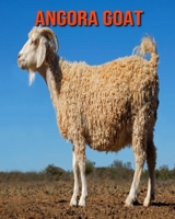 Angora Goat: Beautiful Pictures & Interesting Facts Children Book About Angora Goat B08M8RJGSL Book Cover