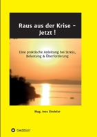 Raus aus der Krise - Jetzt !: Eine praktische Anleitung bei Stress, Belastung & Überforderung 3347119371 Book Cover