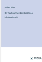 Der Nachsommer; Eine Erzählung: in Großdruckschrift (German Edition) 3387316313 Book Cover
