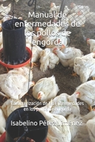 Manual de enfermedades de los pollos de engorda: Caracterización de las Enfermedades en los pollos de engorda (Spanish Edition) B0DXF4K1SB Book Cover