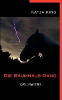 Die Baumhaus-Gang - Das Unwetter 3844831177 Book Cover