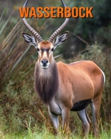 Wasserbock: Buch mit erstaunlichen Fotos und lustigen Fakten für Kinder B0CF4Q4TB4 Book Cover