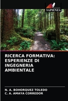 RICERCA FORMATIVA: ESPERIENZE DI INGEGNERIA AMBIENTALE 6203619752 Book Cover