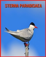 Sterna Paradisaea: Scopri i Sterna Paradisaea e goditi le immagini colorate B08XNVDCYB Book Cover