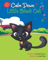 Calm Down Little Black Cat: Clever Baby Series (Book 1) B085RT3L3D Book Cover