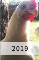 2019: H�hner/Eier Kalender/Landwirt/Hobbyz�chter/Legeaufzeichnung/Eier Legeleistung 109095090X Book Cover