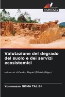 Valutazione del degrado del suolo e dei servizi ecosistemici (Italian Edition) 6208332311 Book Cover