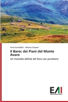 Il Barec dei Piani del Monte Avaro: Un monolite dell'età del ferro con puntatore 6200839964 Book Cover