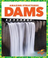 Dams 1620312131 Book Cover