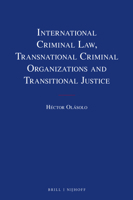 International Criminal Law, Transnational Criminal Organizations and Transitional Justice 9004340998 Book Cover