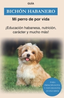 Bich�n Habanero: Educaci�n, formaci�n y car�cter de los habaneros B08NDT3FP8 Book Cover
