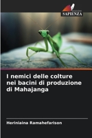 I nemici delle colture nei bacini di produzione di Mahajanga (Italian Edition) 6209571263 Book Cover