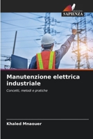 Manutenzione elettrica industriale (Italian Edition) 6209919960 Book Cover