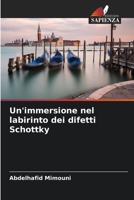 Un'immersione nel labirinto dei difetti Schottky 6207635698 Book Cover