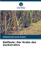 Rotfäule: Der Krebs des Zuckerrohrs 6207335716 Book Cover