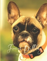 2020-2029 10 Ten Year Planner Monthly Calendar French Bulldog Goals Agenda Schedule Organizer: 120 Months Calendar; Appointment Diary Journal With Address Book, Password Log, Notes, Julian Dates & Ins 1692803131 Book Cover