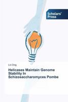 Helicases Maintain Genome Stability in Schizosaccharomyces Pombe 3639714164 Book Cover