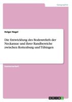 Die Entwicklung des Bodenreliefs der Neckaraue und ihrer Randbereiche zwischen Rottenburg und Tübingen 364038413X Book Cover