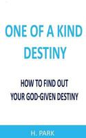 One of a Kind Destiny: How to Find Out Your God-Given Destiny 1986264440 Book Cover