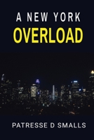 A new york overload B0C47RV7W7 Book Cover