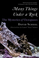 Many Things Under a Rock: The Mysteries of Octopuses 1324076291 Book Cover