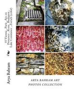 01 Vienna, Paris, AIX En Provence, ROM Budapest, Lake Constance, Zurich (Color): Arya Bahram Art Photos Collection 1530307767 Book Cover