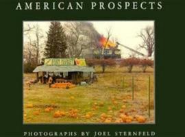 Joel Sternfeld: American Prospects 081291659X Book Cover