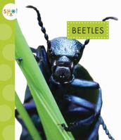 Beetles 1681511061 Book Cover