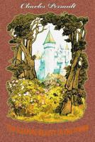 Dörnroschen 0453030114 Book Cover