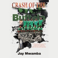 Crash of the Buffalo B0CN3WXF46 Book Cover